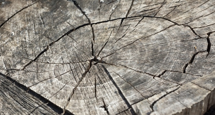 drying wood