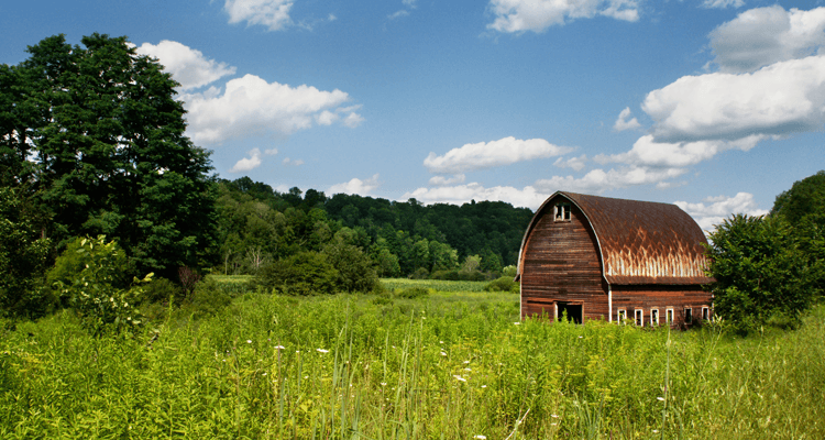 garden shed plans