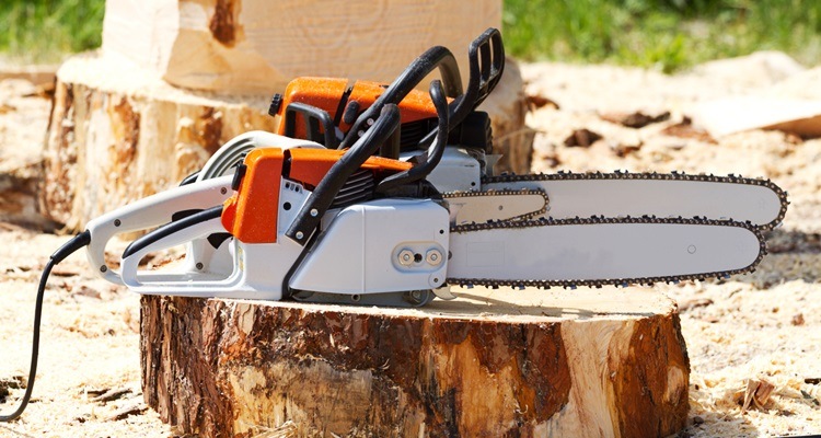 A Guide To Chainsaw Features and Types
