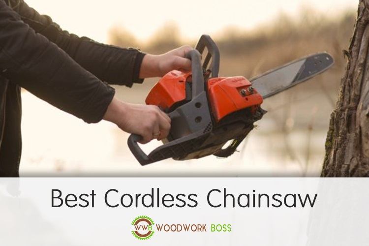 Best Cordless Chainsaw