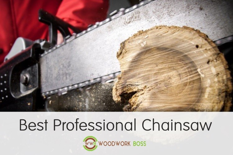Best Professional Chainsaw