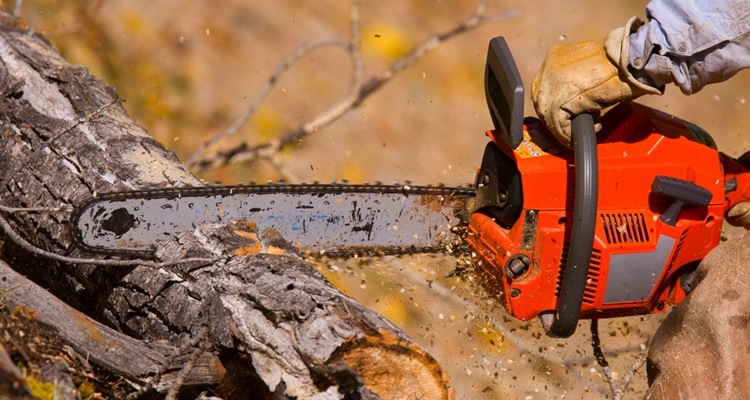 Chainsaw Safety Guide