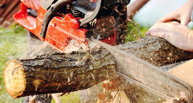 How To Use A Chainsaw